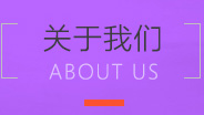 公司簡介
